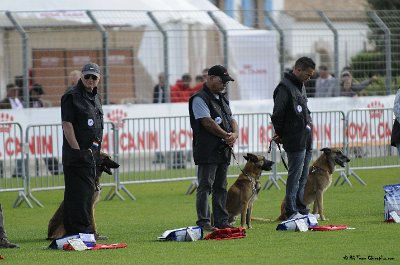 Remise des Prix 057.JPG - CHIENPLUS.COM